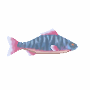 School Of Briny Linus